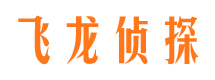 陵县市调查公司